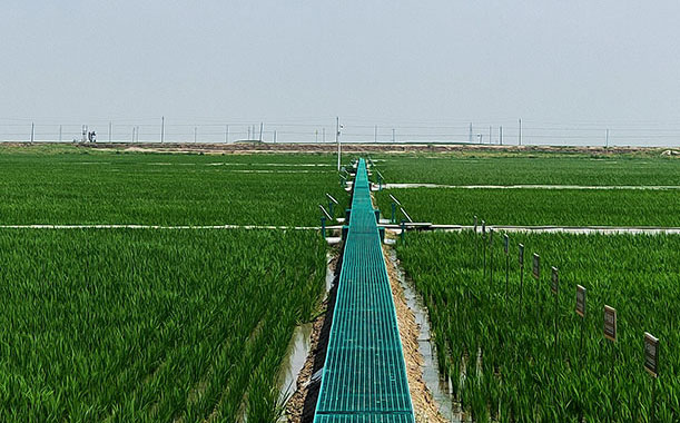 名筑模型服務承諾